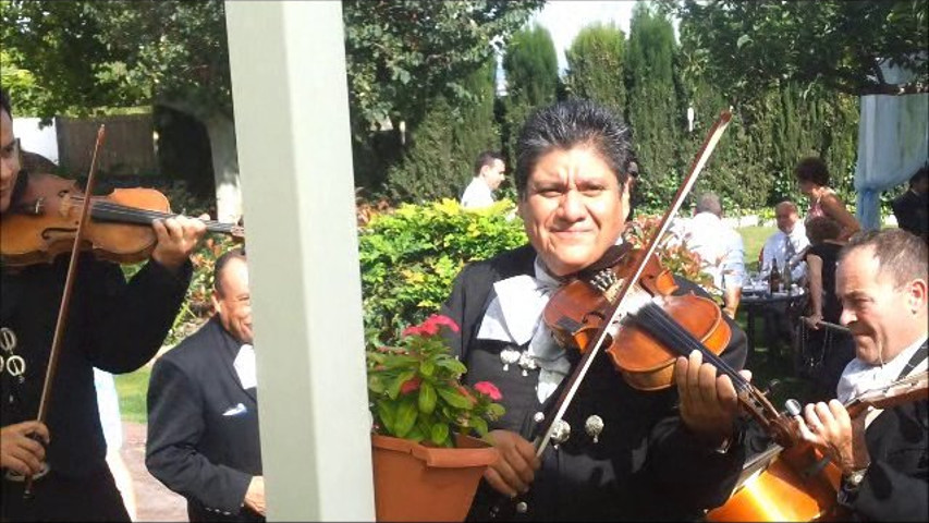 Mariachis