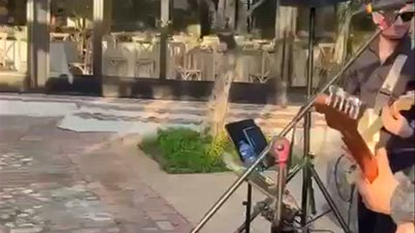 Cómo Camarón!