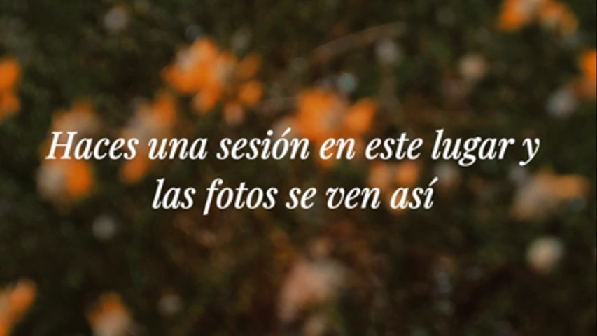 Sesión Pre-boda
