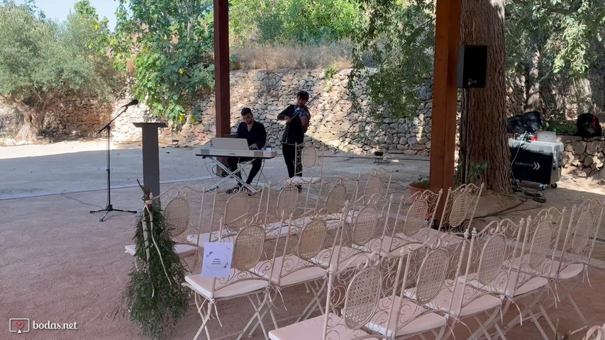 Grupo Aura