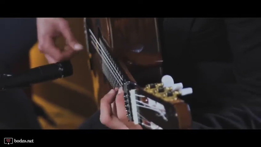 David suarez guitarrista solista.