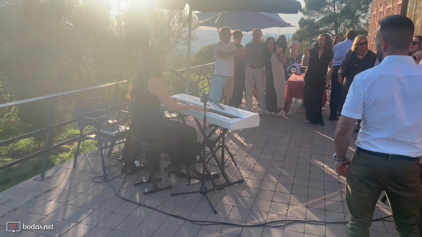 Resumen Amenización Cóctel Boda Adelaida & Manuel 