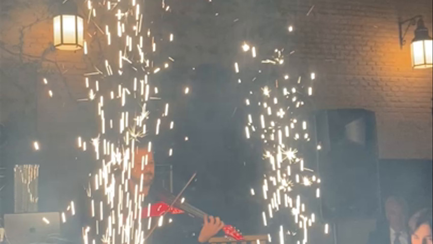 Dani Electric Violín