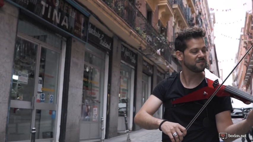 Dani Electric Violín