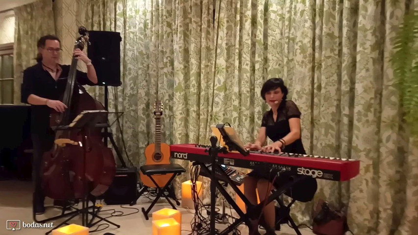 LIVE PERFORMANCE - VIDEO EN VIVO