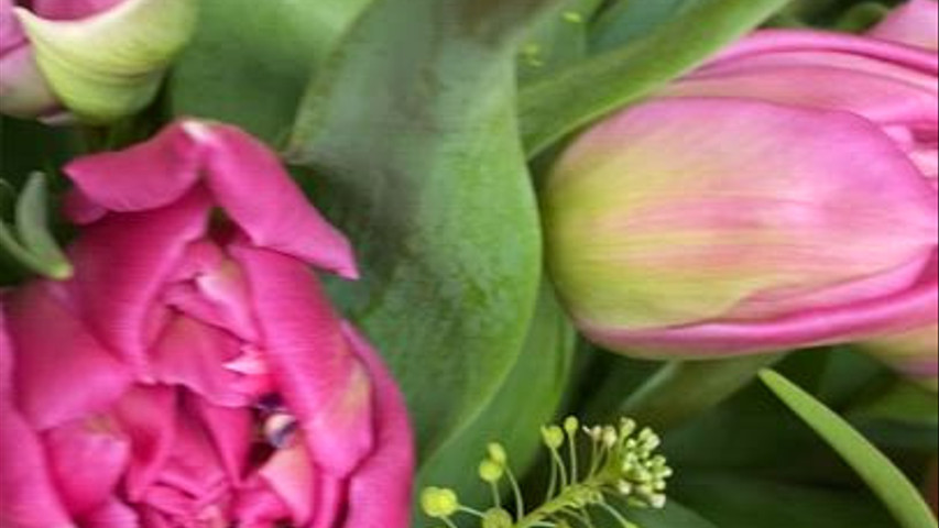 Estefania Gahete Flores y Eventos