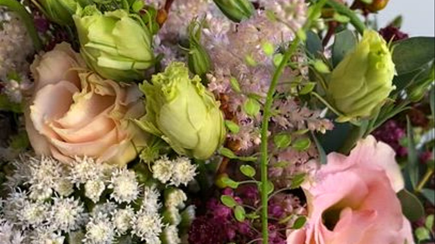 Estefania Gahete Flores y Eventos