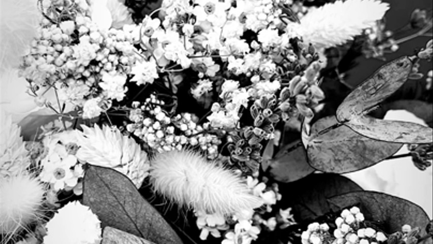 Boda Arantxa Y José 