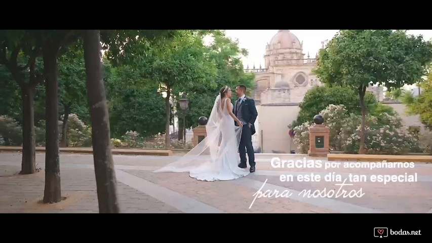 Same Day Edit Boda Jerez |  Teresa & Javi