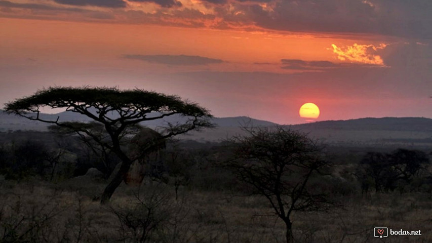 Safaris en Tanzania 