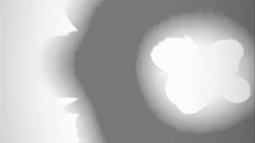 Free Events 