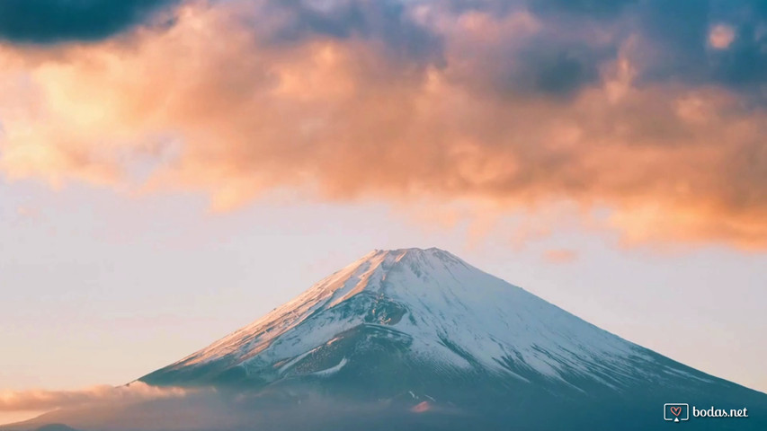 Japón