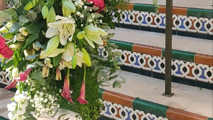 Exorno hacienda 