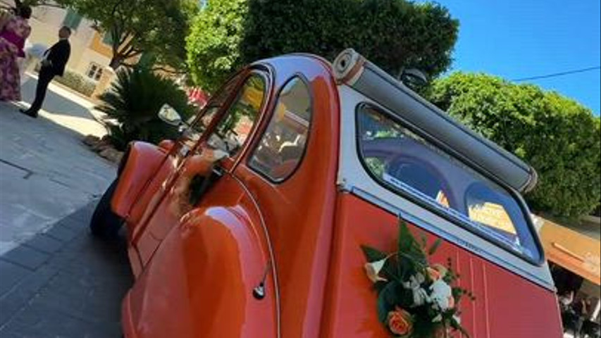 Magnolia Events & Design