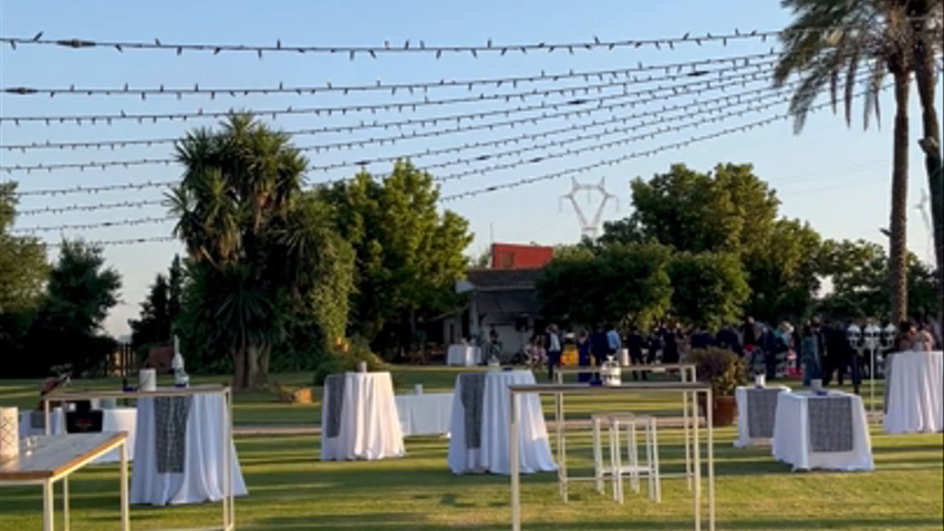 Boda tipo cóctel 