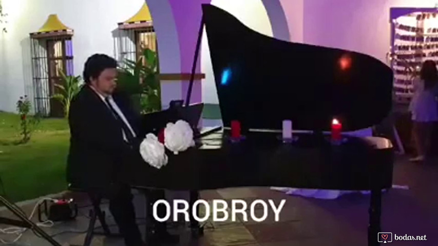 Piano de cola negro con pianista para bodas y eventos