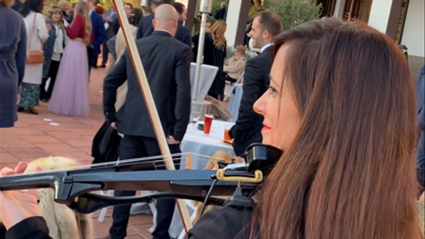 Aperitivo de boda con violín y DJ