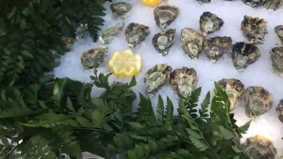 Oyster Bar