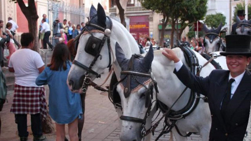 Alquiler Coche de Caballos