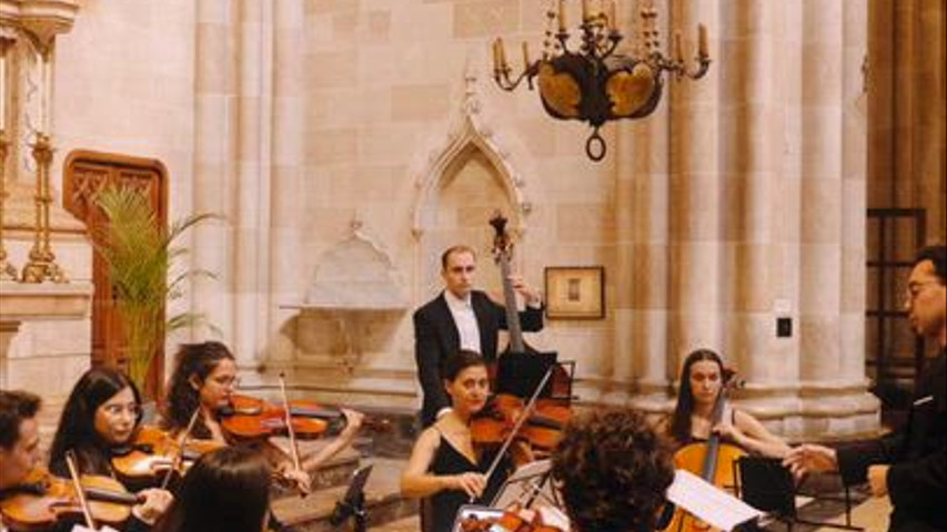 Camerata Concuerda Live