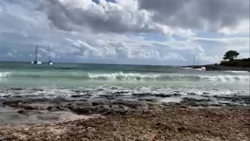 VIDEO BODA ELOPEMENT