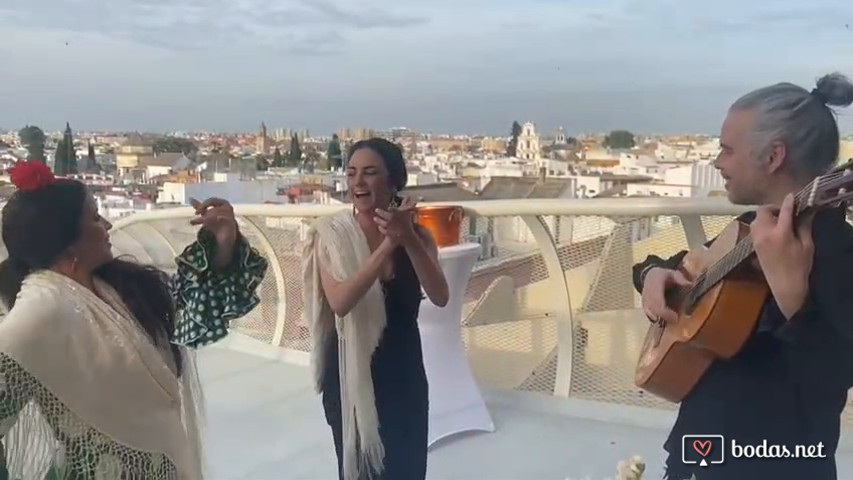 Sevillana en setas de Sevilla