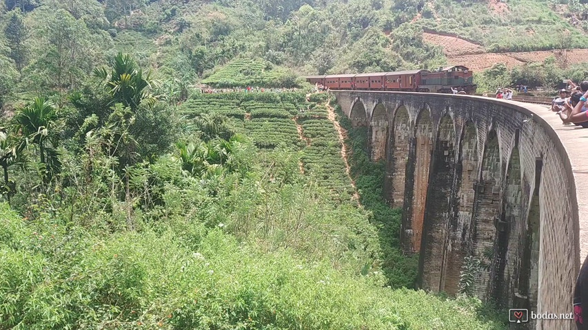  EL TREN DE ELA, SRYLANKA