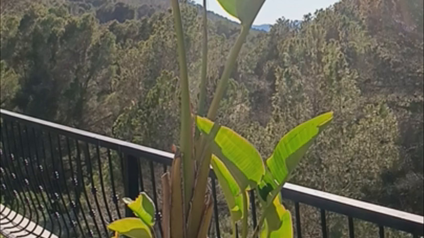 Finca Blanca
