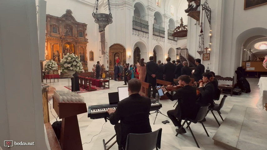 Entrada Novia