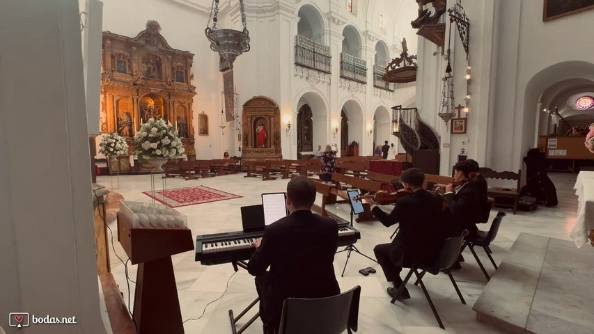 Salida Novios