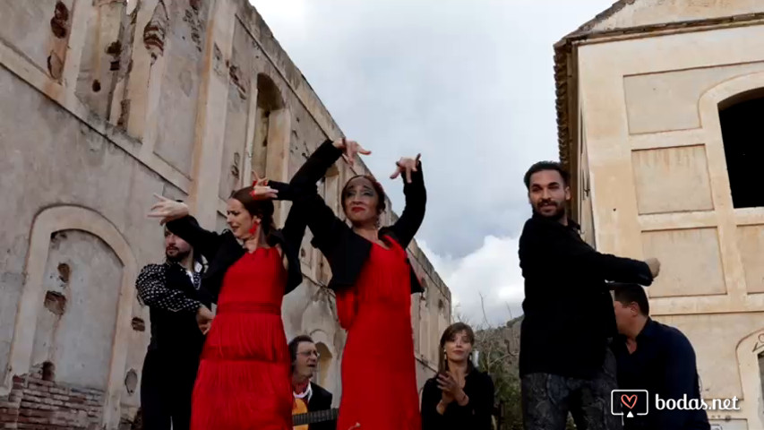 Los Jarales Cuadro Flamenco