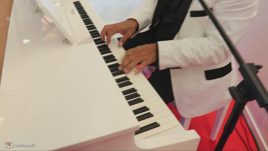 The pianist