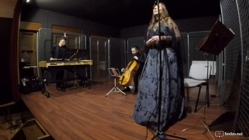Ave Maria de F. Schubert en versión para soprano, vibráfono y chelo.