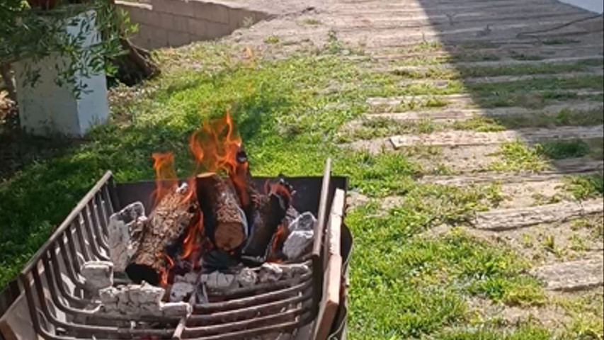 Parrillada de verduras
