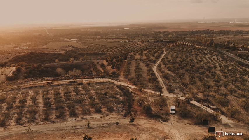 Desde las Alturas
