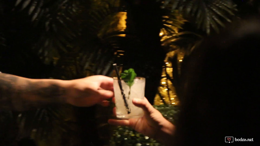 The Cocktail Face VIBES
