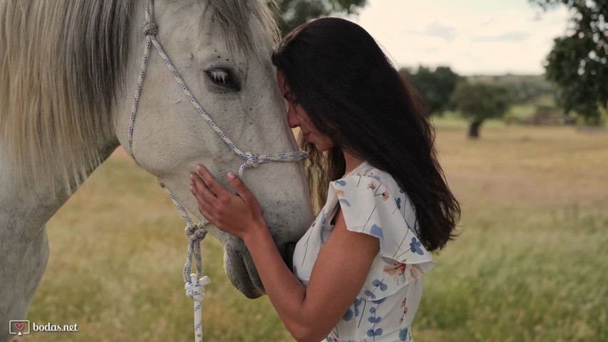 Trailer Preboda de Rafi & Luis