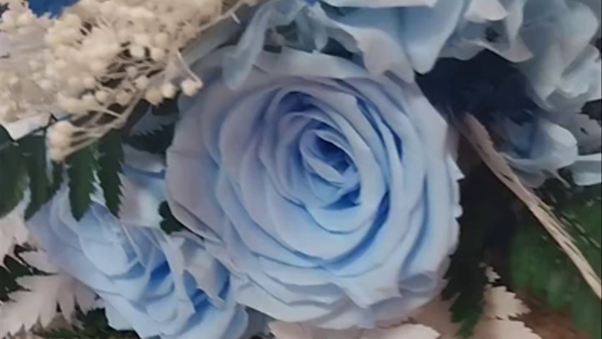 Ramo de Novia y prendidos preservados