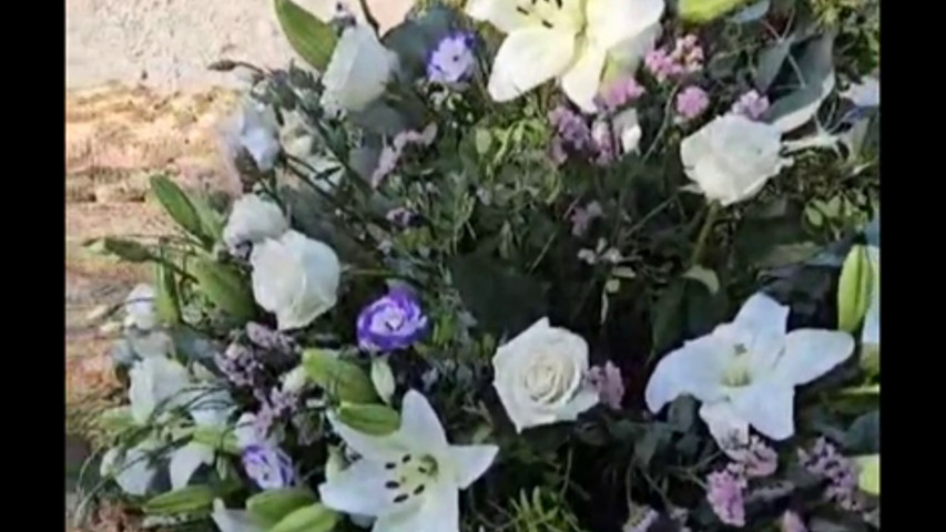 Enlace de María & Josemi