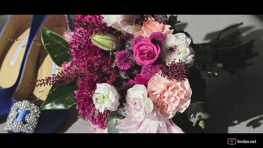 Celar Visual Stories