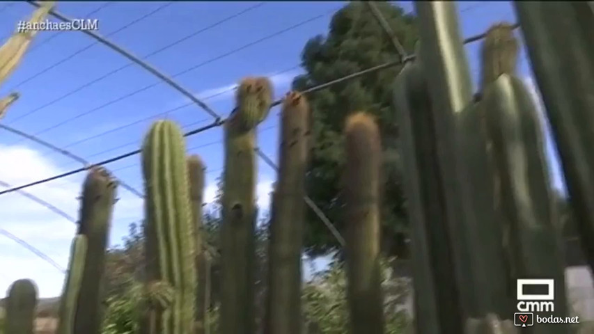 Reportaje televisivo del espacio