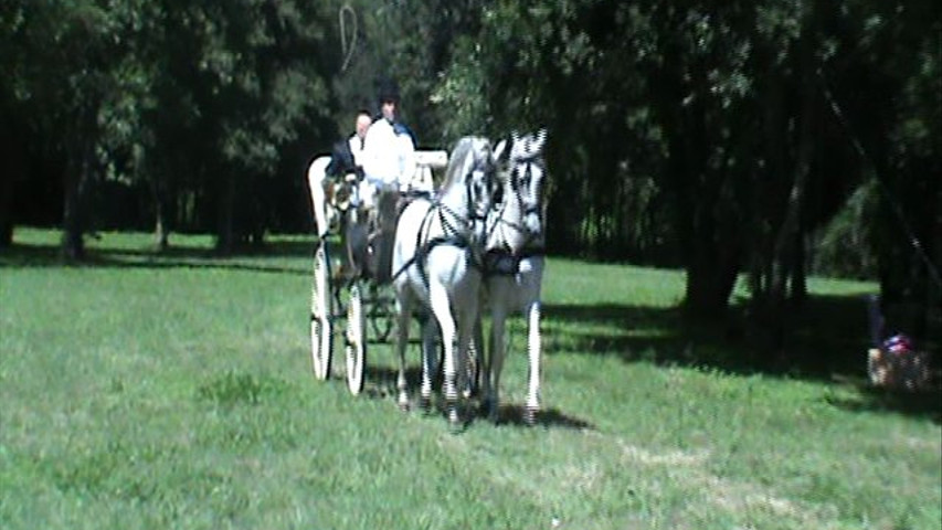 Boda Coristanco