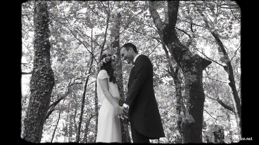 Tráiler de boda