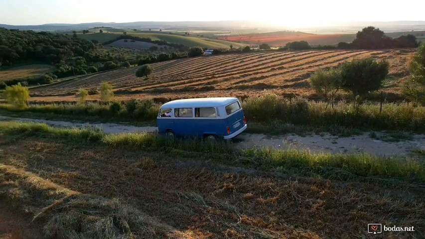 A vista de pájaro