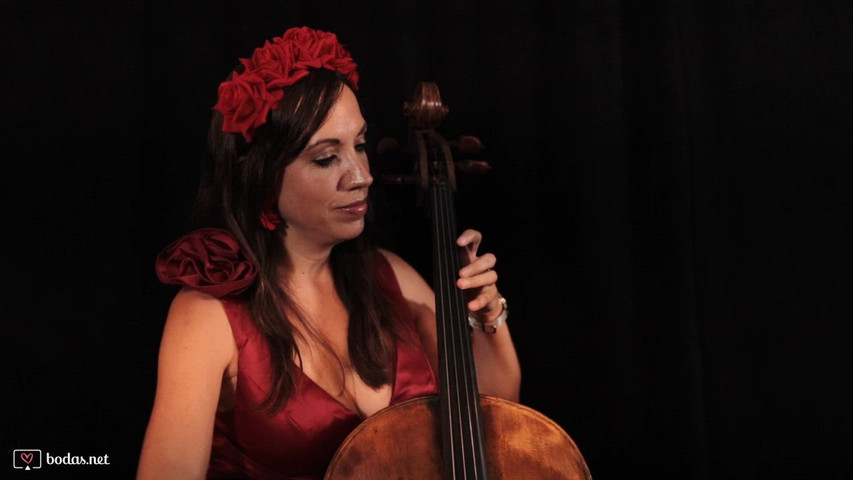 Dúo luxury violín y cello