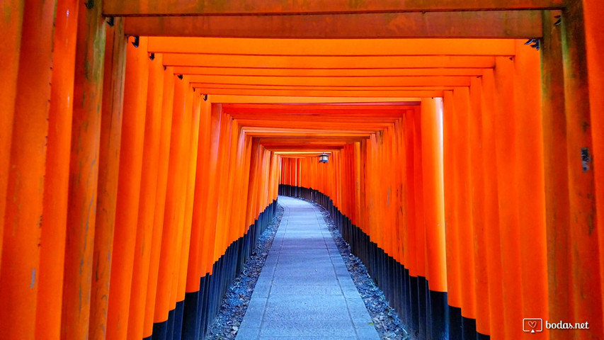 Torii gates