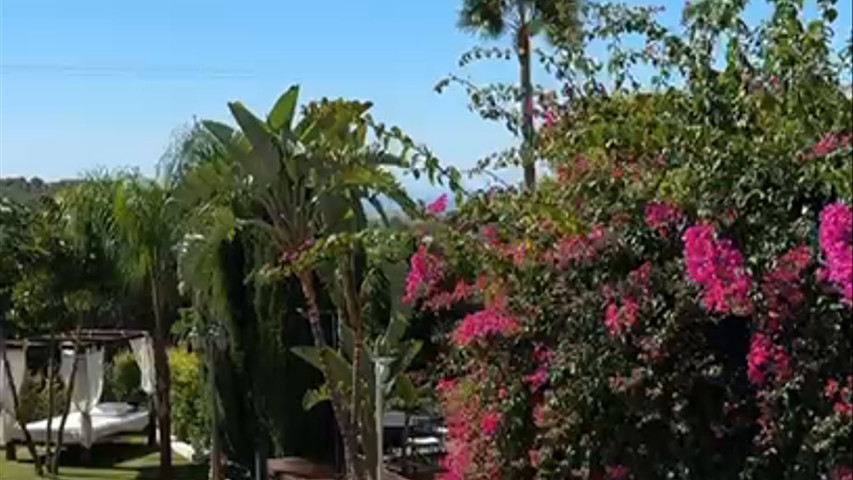 Hotel Restaurante La Plantación