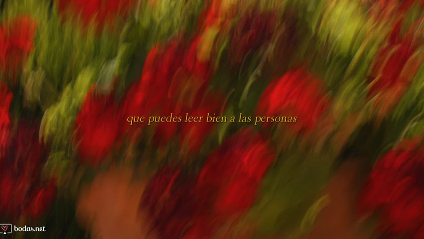 Mi forma de ver y sentir.
