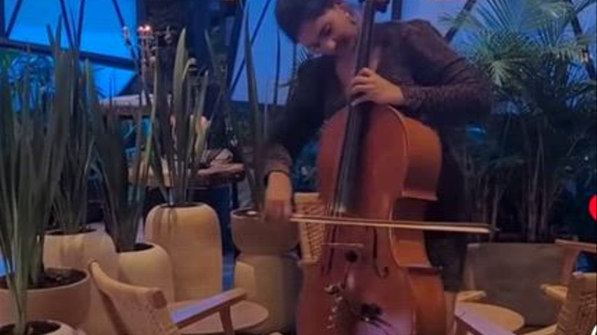 Roxachelomusic violonchelista cantante y representante! 