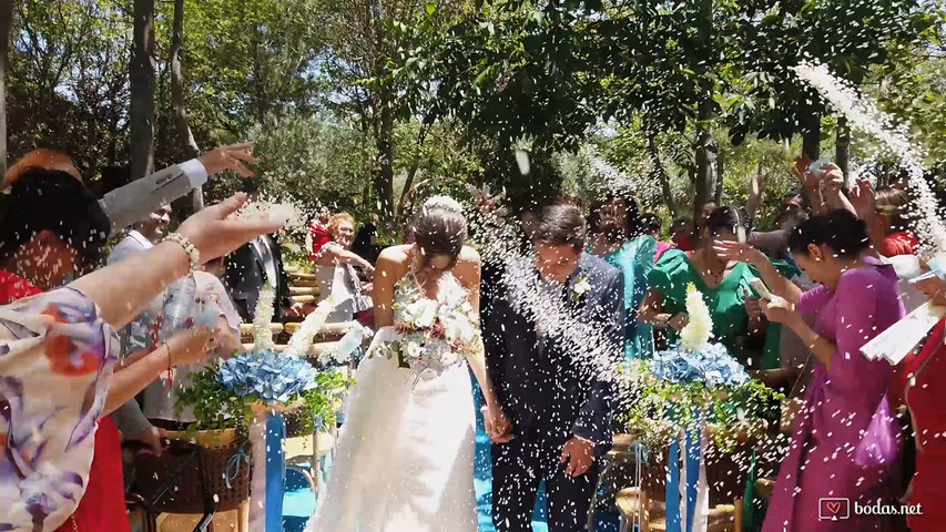 Momentos de una boda